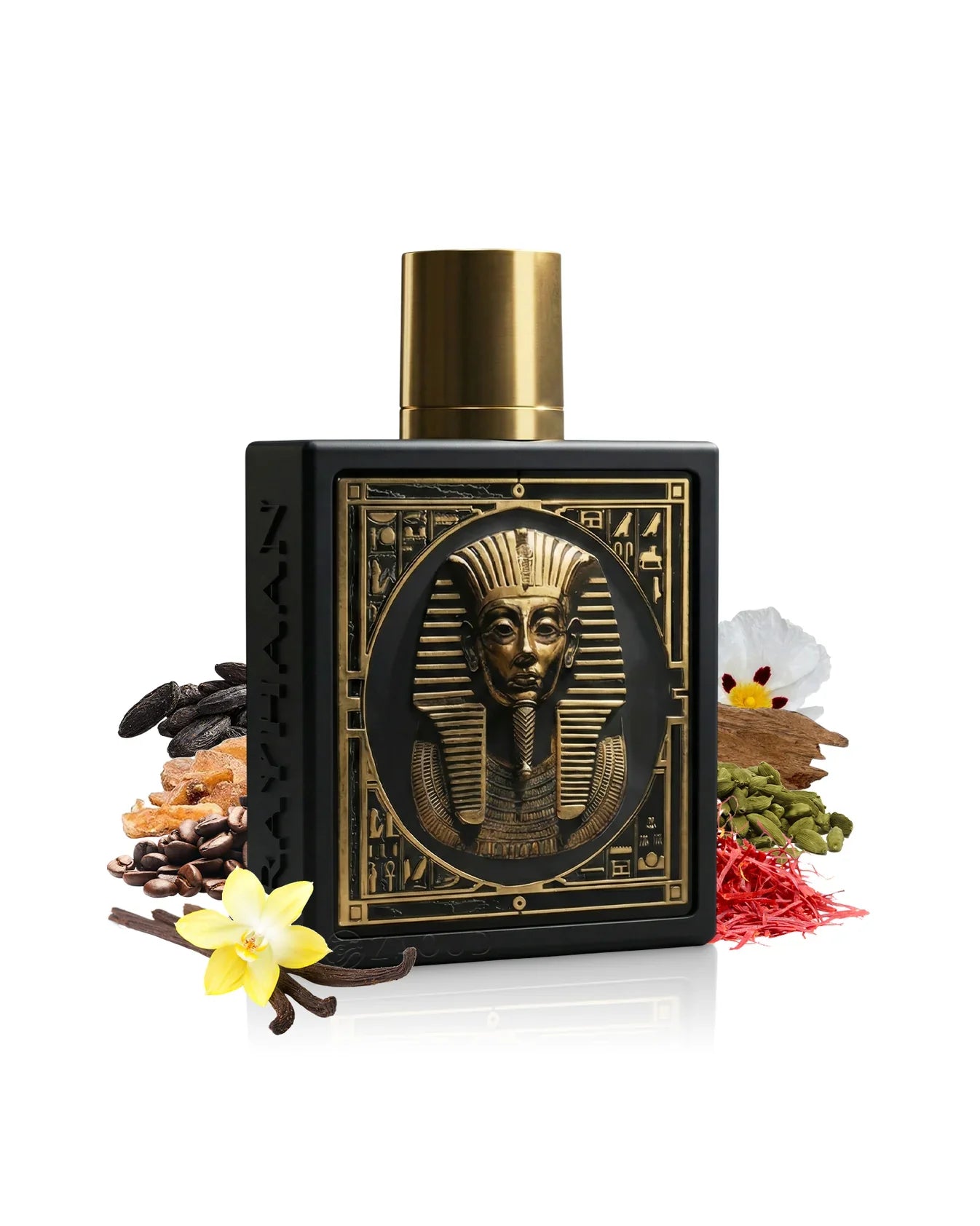 Rayhaan pharaoh