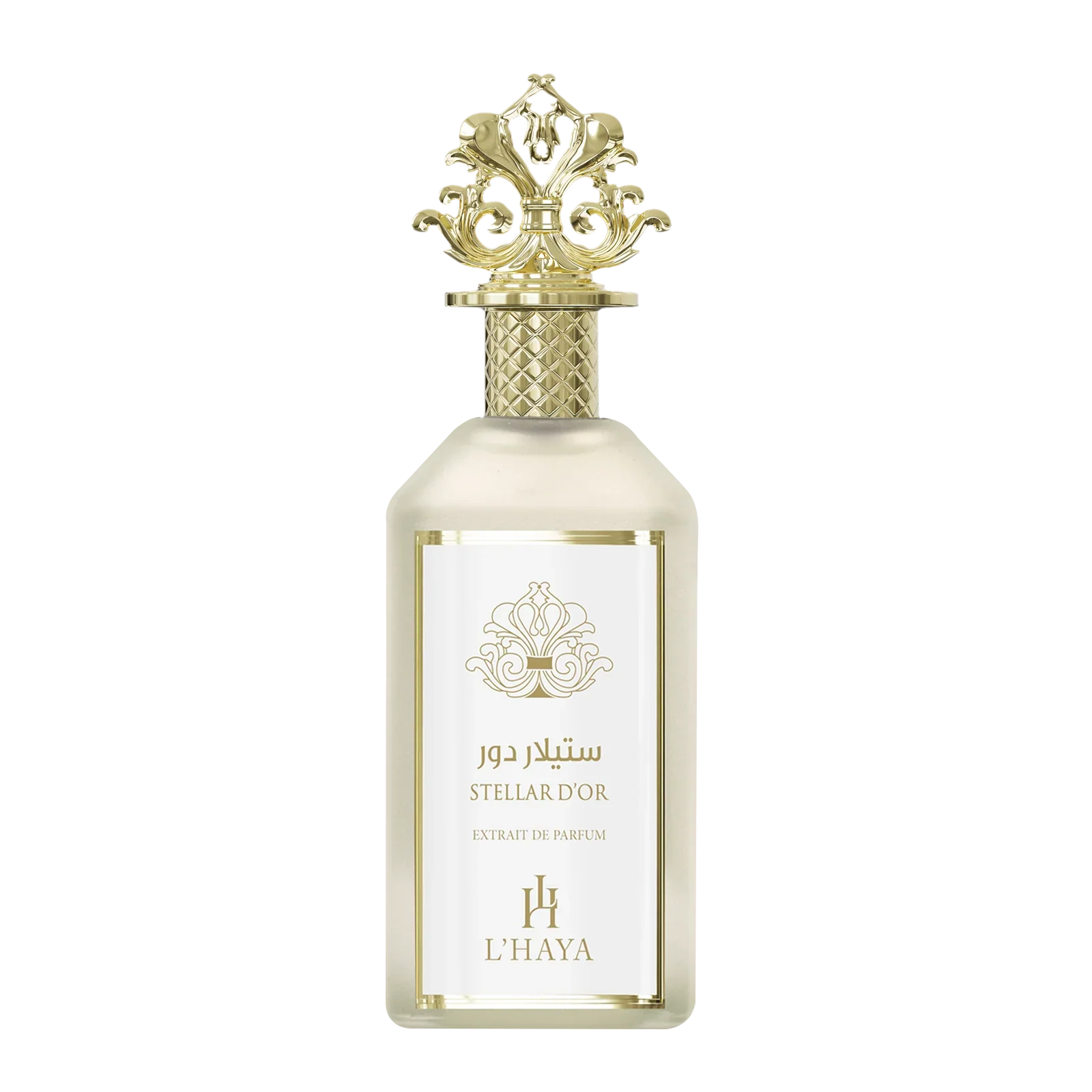 Stellar D'OR -L’Haya